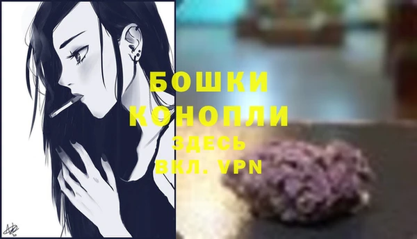 круглые Вяземский