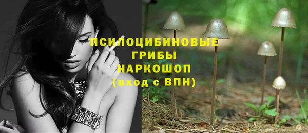 герыч Вязьма